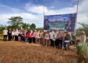 POLSEK Pammana POLRES Wajo, Gelar Penanaman Perdana Padi Gogo di Lahan Perkebunan, Dukung Ketahanan Pangan Nasional