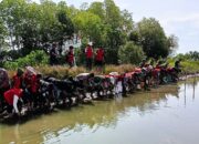 KAPOLSEK Pitumpanua POLRES Wajo, Gelar Giat Penanaman Pohon Mangrove dan Pembersihan Sampah di Pinggir Laut