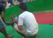 Yang Terhormat Kapolres Pasuruan Kota Mohon Berantas Perjudian Semi Permanen di Kedawung Kulon