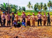 KAPOLSEK Pitumpanua POLRES Wajo Tanam Jagung Bersama Warga Guna Dukung Ketahanan Pangan