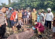 Dilaporkan Hilang, Seorang Nenek Ditemukan Meninggal Di Sungai Keduwang Wonogiri