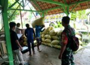 Babinsa Koramil 01/Blora Dampingi Bulog dalam Penyerapan Gabah Petani