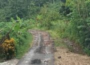 Jalan Desa Hancur Lebur, Petani Menjerit!! Diduga Proyek Tambang Telan Dana Negara?