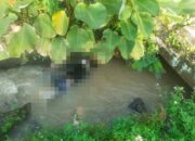 Pasar Lanang Ambarawa Heboh, Laki laki Paruh Baya Ditemukan Meninggal di Parit