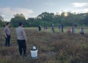 7 Sapi di Desa Laerung, Mati Mendadak, Diduga Keracunan, POLISI Turun ke TKP