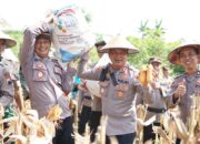 Panen Raya Jagung Polres Sragen Sukses, Capai 7,5 Ton dari Lahan 1,5 Hektare di Kawasan Perhutani