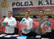 Tegas Berantas Premanisme : Polda Kalbar Ungkap 232 Kasus Kriminal, Satu Orang Ditangkap Atas Kepemilikan Senpi Rakitan