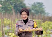 Bhabinkamtibmas Kelurahan Gayamdompo Dukung Kemandirian Pangan Warga Lewat Panen Terong