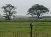TNI Bantu Evakuasi dan Dukung Penanganan Ancaman Bom di Pesawat Saudi Airlines SV5276