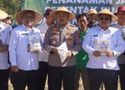 Polres Wonogiri Tanam Jagung di 25 Hektare Lahan Perhutanan Sosial, Dukung Ketahanan Pangan Nasional