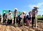 Polres Jepara Bersinergi dengan Ponpes Zhilalul Qur’an Tanam Jagung dalam Mendukung Program Swasembada Pangan Nasional