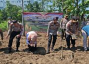 Kapolres Salatiga Pimpin Tanam Jagung Serentak Kuartal Ke-IV dan Gerakan Pangan Murah di Wilayah Noborejo Argomulyo