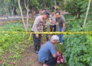 Hendak ke Masjid, Warga Wringin Putih Temukan Bayi Laki-laki
