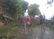 Pohon Tumbang Halangi Jalan Penghubung Desa, Polsek Gunem Sigap Evakuasi Pohon 