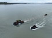 TNI Bantu Penyelamatan Badak di Taman Nasional Ujung Kulon