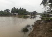 Sejumlah Tambak, Sawah, dan Rumah Warga Terdampak Banjir di Darul aman Aceh Timur