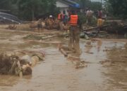 Prajurit TNI Berhasil Evakuasi Warga Banjir Batangtoru, Tapanuli Selatan