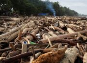 Putri Nabila Damayanti, SH Kritisi Bencana Banjir, Minta Men LH, Menhut dan TNI Polri Harus Tanggung Jawab