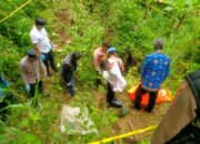 Kerangka Manusia Ditemukan di Perkebunan RPH Tinasat, Polisi Pastikan Identitas Korban adalah Warga Gesing yang Hilang Sejak Januari