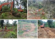 Excavator Datang, Banjir Mengganas: Warga Seumanah Jaya Teriak, Hutan Digunduli Saat Luka Bencana Hidrometeorologi Belum Kering di Aceh