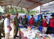 Wakil Panglima TNI Tinjau Wilayah Terdampak Banjir di Sumut dan Sumbar