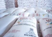 Petani Menjerit,..!! Dugaan Pupuk Bersubsidi di Ngargosari Harga Selangit, Pemerintah Diminta Tegas