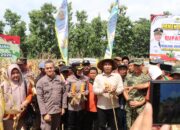 Panen Raya Jagung Serentak Kwartal I 2026, Sragen Jadi Etalase Ketahanan Pangan Jawa Tengah