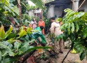 Kesiapsiagaan Polri, Personel Polres Karanganyar Sigap Tangani Pohon Tumbang Akibat Cuaca Ekstrem