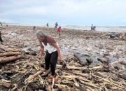 Perhutani Pastikan Kayu di Pantai Larangan Bukan Hasil Tebangan, Kapolres Tegal Turun Langsung ke Lokasi