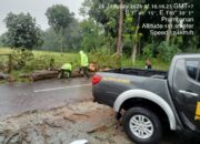 Angin Kencang Mengakibatkan Pohon Tumbang yang Menimpa Bangunan pos security di wilayah Prambanan Klaten