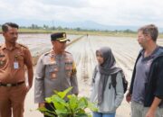Tekan Impor Beras, Polres Sukoharjo Kembangkan Padi Japonica Tarabas