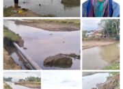 200 Hektare Tambak di Pidie Jaya Belum Normal Pascabanjir, MUSAPAT Desak Pemerintah Aceh Segera Bertindak