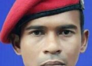 Kadis Peternakan Bungkam, Bantuan Daging Presiden Rp7,5 Miliar Diduga “Menguap” di Aceh Timur