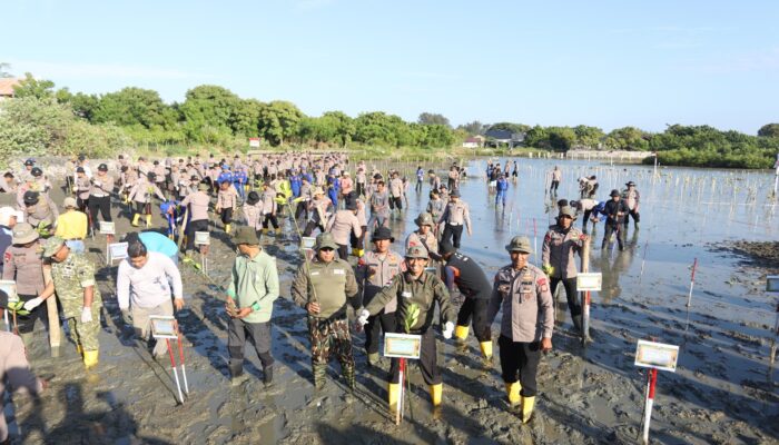 Green Policing Polda Aceh, Tanam 10 Ribu Mangrove untuk Perkuat Ketahanan Ekologi dan Ekonomi Desa Pesisir