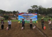 Penanaman Jagung Serentak Kuartal I, Polres Semarang Tanam di Lahan 30,97 Hektare