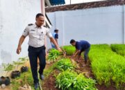Panen Kangkung di Lapas Pati, Warga Binaan Dibekali Keterampilan dan Dukung Ketahanan Pangan