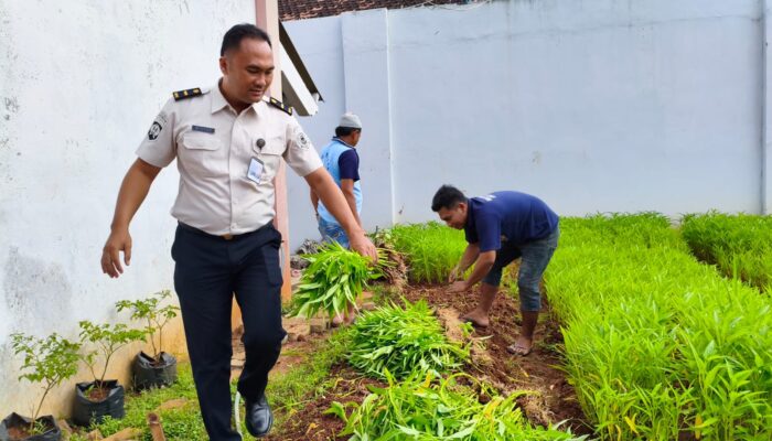 Panen Kangkung di Lapas Pati, Warga Binaan Dibekali Keterampilan dan Dukung Ketahanan Pangan