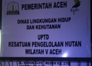 KPH ACEH UTARA MENANGKAP 3 TON MINTAK UANG TUBUSAN 30 JUTA GETAH MESKIPUN DOKUMEN PENGAWALAN LENGKAP, HINGGA LEPORAN KE POLDA BANDA ACEH