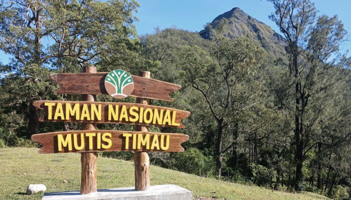 Tokoh Adat Mutis Himbau Jaga Keberlangsungan Wisata Taman Nasional Mutis