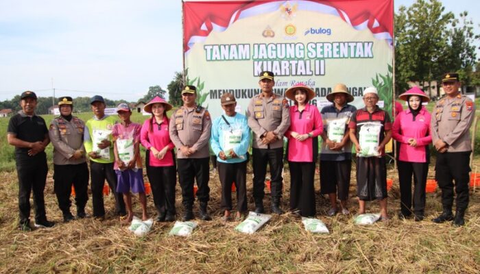 Kapolres Sumenep Bersama Bhayangkari Tanam Jagung, Wujudkan Ketahanan Pangan 2026