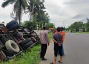 Hindari Tabrakan, Truk Colt Diesel Terbalik ke Parit di Simpang Pelabuhan Muara Satu
