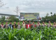 Kapolres Aceh Tengah Tinjau Perkembangan Tanaman Jagung Program Ketahanan Pangan