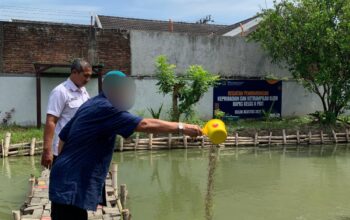 Dari Pembinaan Menuju Kemandirian: Klien Bapas Pati Berkontribusi dalam Program Ketahanan Pangan