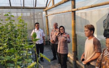 Curhat Kamtibmas Jadi Ruang Belajar Ketahanan Pangan, Kapolres Sragen Tinjau Greenhouse Melon hingga Ternak Terpadu di Kaliwedi