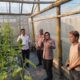 Curhat Kamtibmas Jadi Ruang Belajar Ketahanan Pangan, Kapolres Sragen Tinjau Greenhouse Melon hingga Ternak Terpadu di Kaliwedi