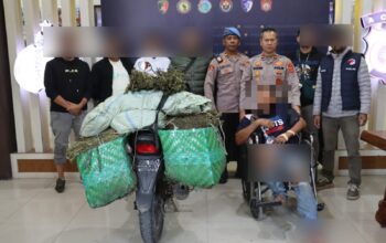 Satresnarkoba Polres Aceh Tengah Gagalkan Peredaran 45 Kilogram Ganja, Kurir Antar Kabupaten Ditangkap