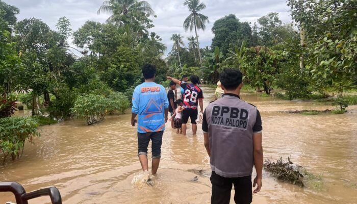 Perkembangan Situasi dan Penanganan Bencana di Tanah Air 14 Juni 2026