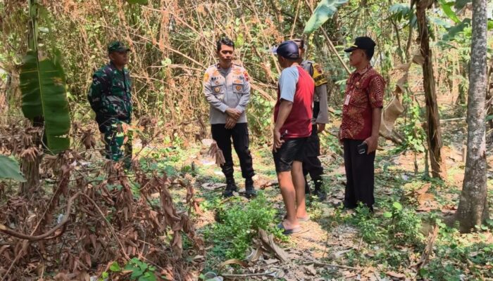 Bayi Laki-laki Ditemukan di Pekarangan Kosong Tlogomulyo, Dirawat di Rumah Sakit