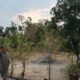 Sidak KDMP Gilirejo Baru, Warsito Tegaskan Pengadaan Lahan Sesuai NJOP dan Anggaran untuk Penataan Lahan